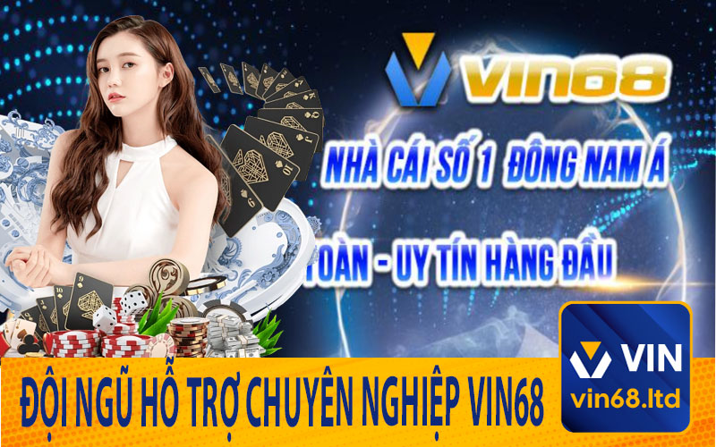 Đội Ngũ Hỗ Trợ Chuyên Nghiệp tại Vin68